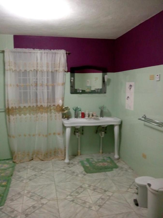 Dmeechi Apartment Kingston Exterior photo